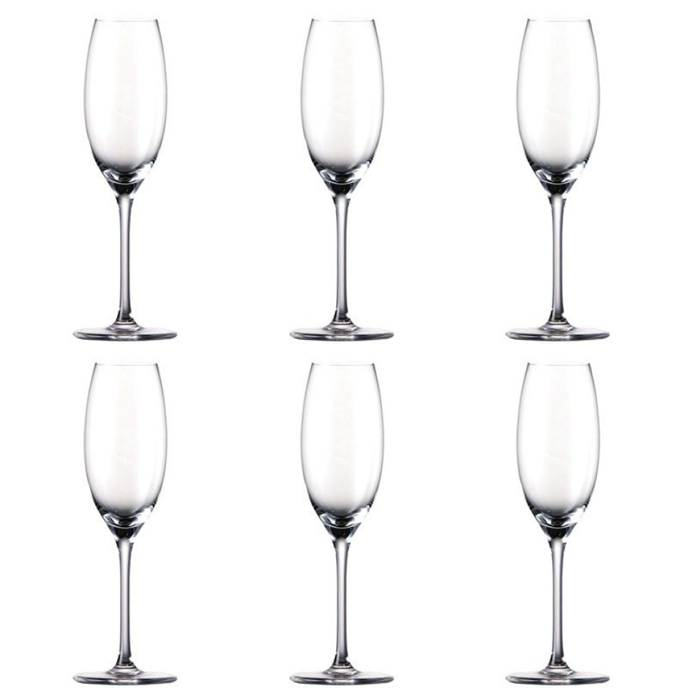Champagne-flöjt, Thomas DiVino, 6 st i gruppen Bar & Vin / Vinglas / Champagneglas hos KitchenLab (1798-12739)